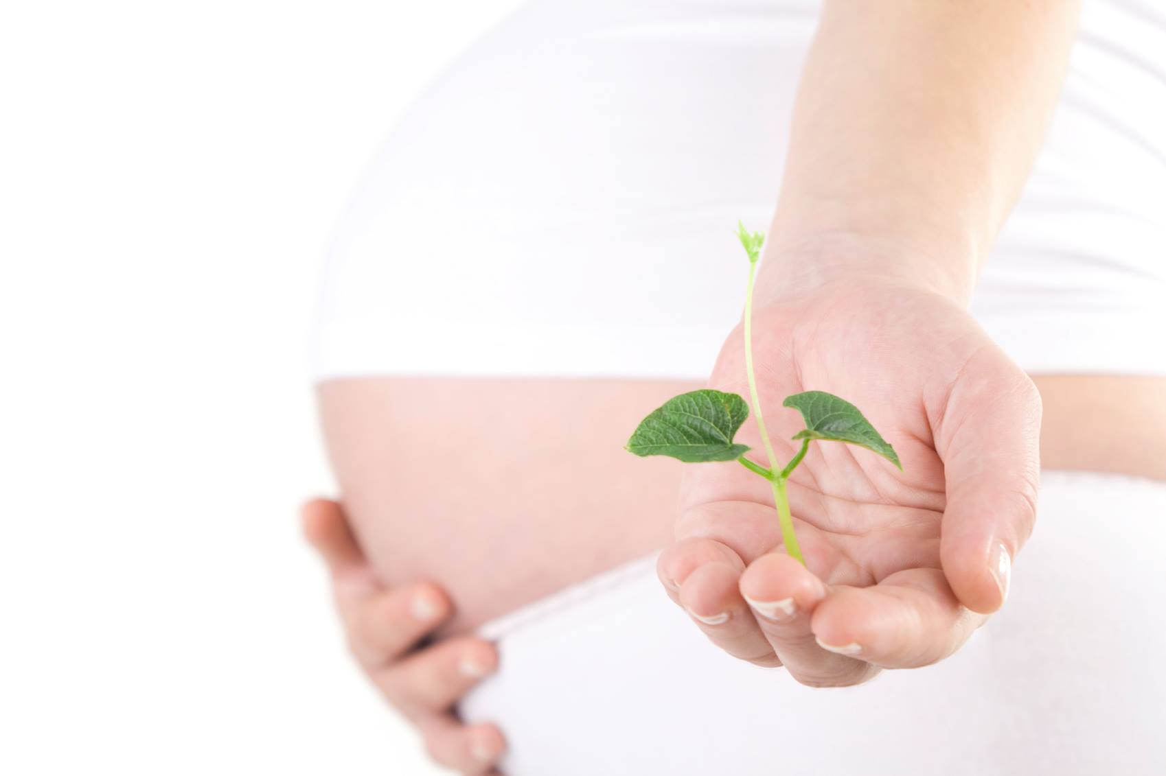 La fertilidad es un bien a cuidar: técnicas de preservación