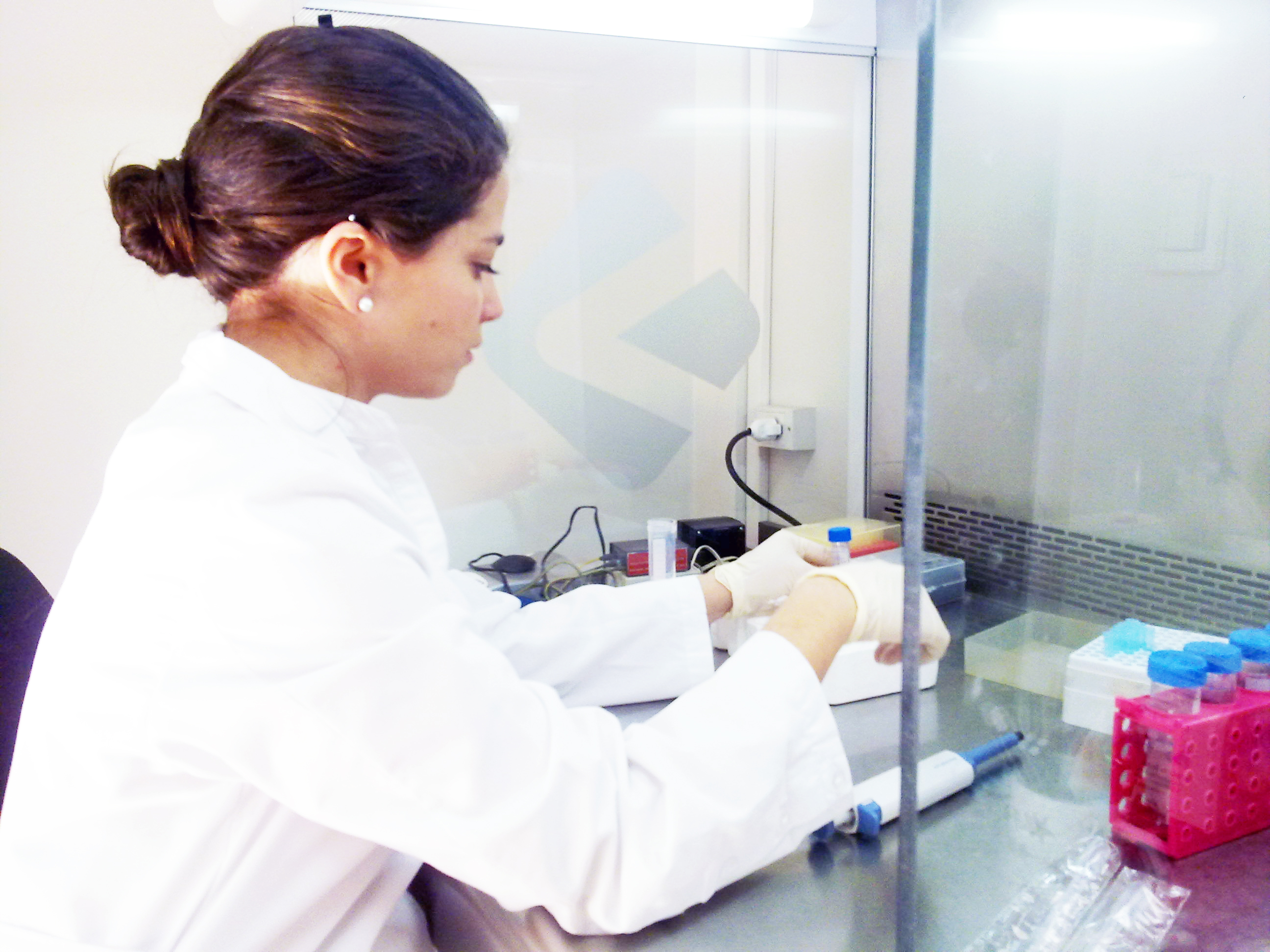“Análisis de la expresión de biomarcadores de calidad ovocitaria en células de granulosa humana por la técnica de RT PCR.”