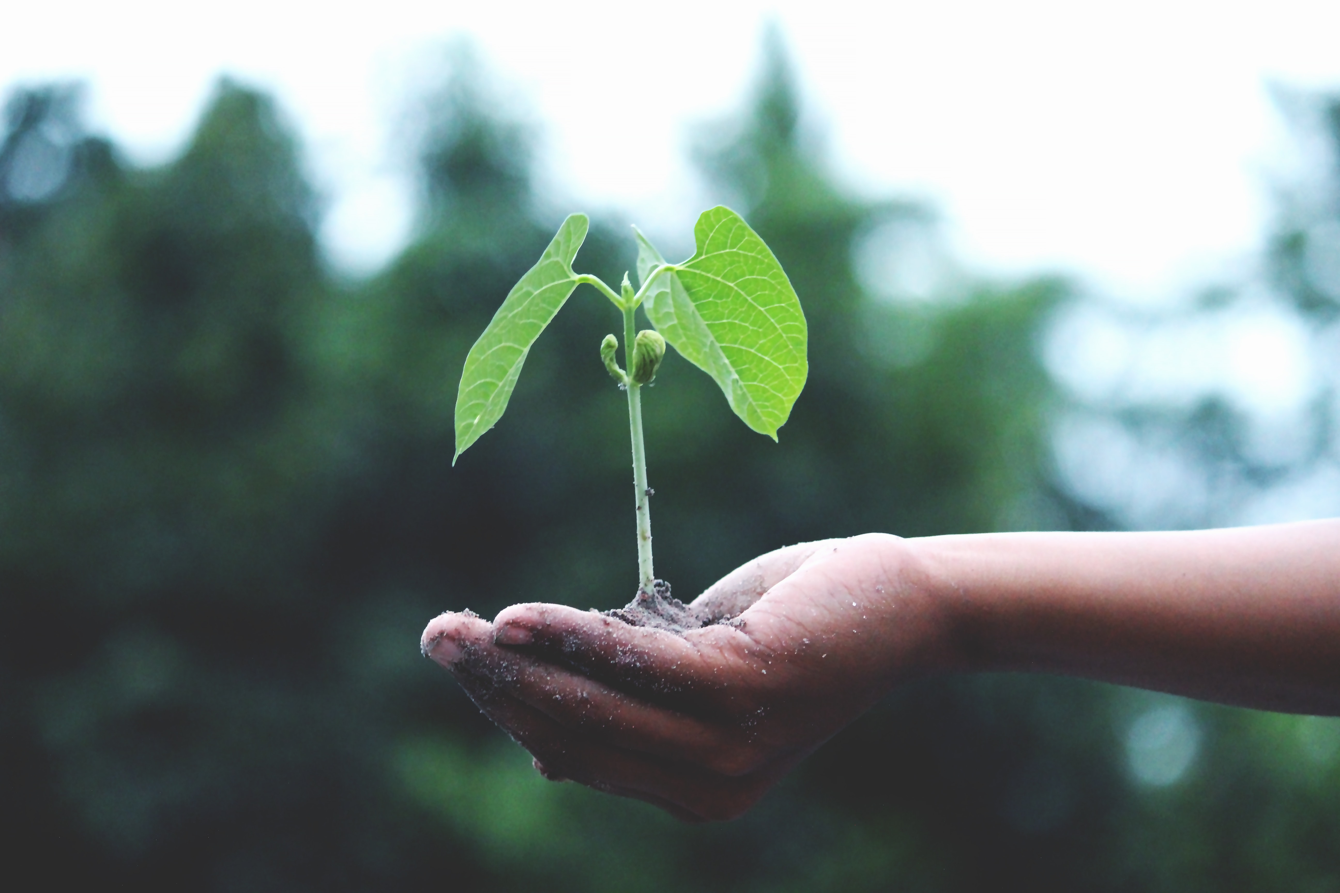 “La Fertilidad Asistida como motor de la conservación de especies y su impacto en el medio ambiente.”