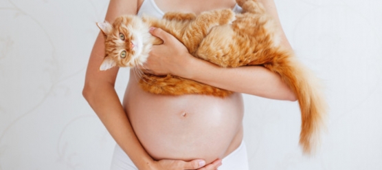 Toxoplasmosis y embarazo. Me pareció ver un lindo gatito