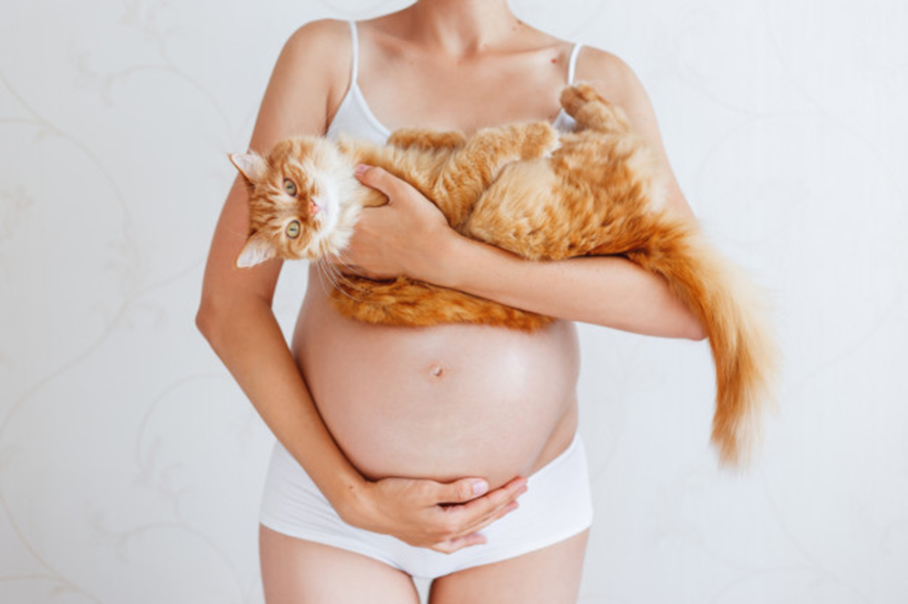 Toxoplasmosis y embarazo. Me pareció ver un lindo gatito