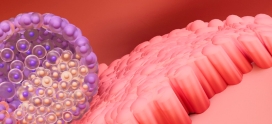 La edad del endometrio más allá de la euploidía embrionaria