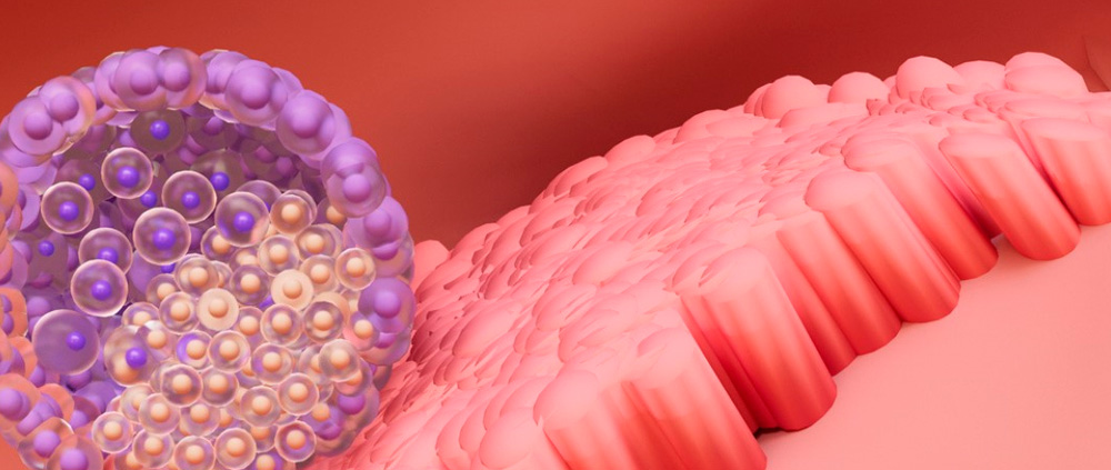 La edad del endometrio más allá de la euploidía embrionaria