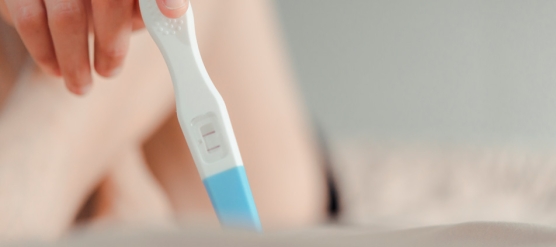 Junio: Mes de la Fertilidad