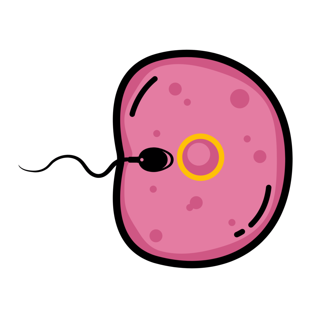 MEDICINA REPRODUCTIVA